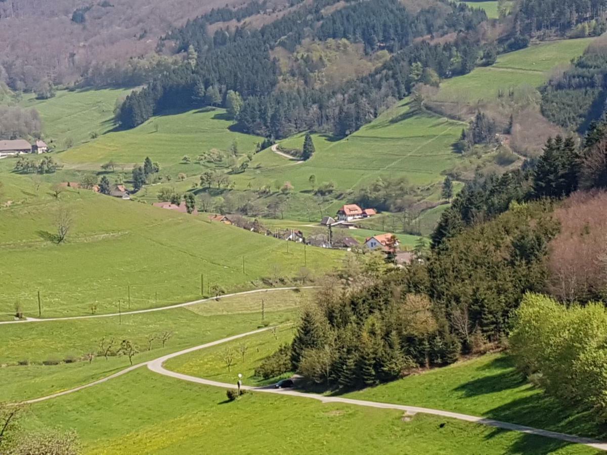 Ferienwohnung Am Siegelbaechle Mit E-Bikes Vermietung Gutach im Breisgau Eksteriør bilde